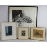 An indistinctly pencil signed limited edition print of a cat, 5/8, 2007. An indistinctly pencil