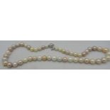 A fine graduated pink pearl necklace, individually knotted with a 14ct white gold clasp. 49