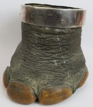 An early 20th century taxidermy Asian elephant's foot bin planter with white metal collar. Height