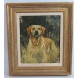 Mick Cawston (British, 1959-2006) - 'Golden Labrador', oil on canvas, signed, certificate of