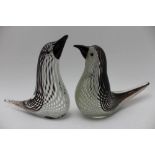 A pair of Murano glass birds after Dino Martens (1894-1970) decorated in the Mezza Filigrana manner,