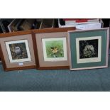 Three signed limited edition David Shepherd prints of baby animals