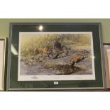 A signed limited edition David Shepherd print titled the tigers of Bandhaygarth signed and