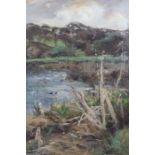 Lily Blatherwick late 19th/20th century, oil on canvas study of Lakeside reeds 62 x 46 cm, signed an