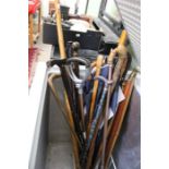 A Selection of walking sticks and shooting sticks