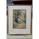 An early 20th century watercolour of woodland path, indistinctly signed