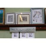 A selection of decorative pictures and prints