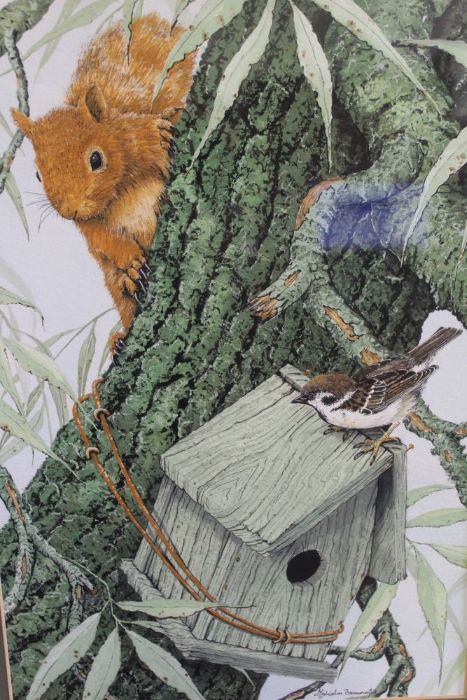 Malcolm Beaumont F.I.G.A, A watercolour study of a red squirrel with a sparrow on a bird box - Image 3 of 4