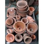 Tray of small garden terracotta pots