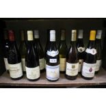 A shelf of mixed wines (12)