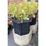 A pair of cast octagonal planters, together with t