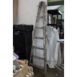 A vintage tapering step ladder (wood)