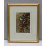 Neil Cox (b.1955) - Long tailed tits, watercolour, signed, 24cm x 17.5cm, mounted in a gilt & painte