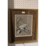 Vivien Payne a watercolour study of a little owl signed and dated 1979