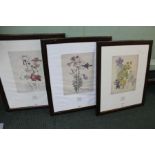 Three decorative coloured prints, after Charles Rennie-MacKintosh