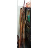 A selection of walking sticks, various