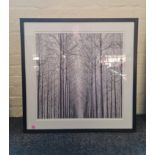 Two black and white fashion prints of trees together with a large print on canvas, beach scene, a