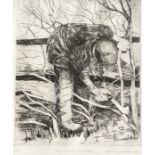 BETTY HECKFORD, framed, signed, titled ‘Ted laying the hedge’, etching, man laying a hedge, approx