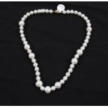 A string of cultured pearls of various sizes, clasp stamped 375, length approx. 16". RRP £299.