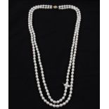 A double strand of oval cultured pearls, clasp stamped 375, length approx. 32", (A/F). RRP £329 BOOK