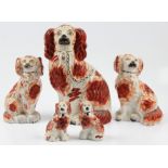 Five various sized Staffordshire dogs