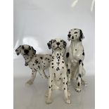 Three large statues of Dalmatians to include two sitting, one by Beswick, and one walking