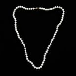 A string of pearls, clasp stamped 375, length approx. 18in.