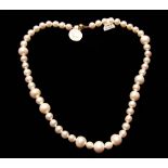 A string of cultured pearls of various sizes, clasp stamped 375, length approx. 16"