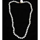 A string of cultured pearls, clasp stamped 375, length approx. 18.