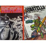 Fourteen Mirage Studio issues of Teenage Mutant Ninja Turtles, to include first issue fifth printing