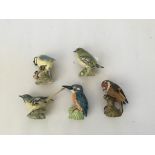 Five Beswick bird ornaments.