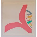 Sandra Blow RA abstract limited edition 19/30 print signed with date 89 and framed. Approx 53 cm, 53