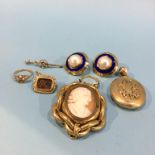 A bag of assorted jewellery, to include a locket, cameo brooch and earrings etc.