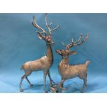 Three model Deer