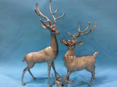 Three model Deer