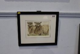 Samuel Fenn, pen, ink and wash, signed verso, 'Two Cheviot Ewes', 12cm x 18cm