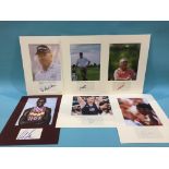 Assorted mounted photos and signed cards, to include Corey Pavin, Tommy Aaron, Johnny Miller,