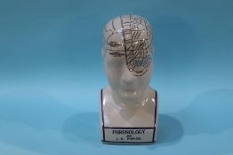 A modern Phrenology head