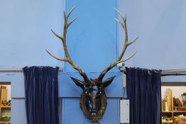 A wall mounted model of a deer