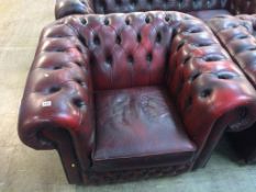 A Chesterfield oxblood club chair