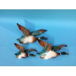 Three Shorter Limited Duck wall plaques