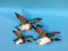 Three Shorter Limited Duck wall plaques