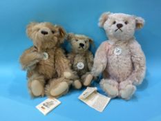 Three modern Steiff teddy bears