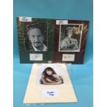 Assorted mounted photos and signed cards, to include Angie Dickinson, Lauren Bacall, Liz Hurley,