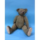 A plush teddy bear, circa 1920s, approx. 51cm high