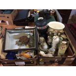 Two trays of assorted to include taxidermy squirrel etc.