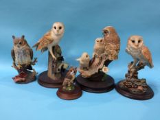 Two Border Fine Art Owls etc. (5)