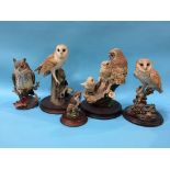 Two Border Fine Art Owls etc. (5)