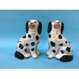 A pair of Staffordshire black and white Spaniels