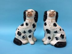 A pair of Staffordshire black and white Spaniels